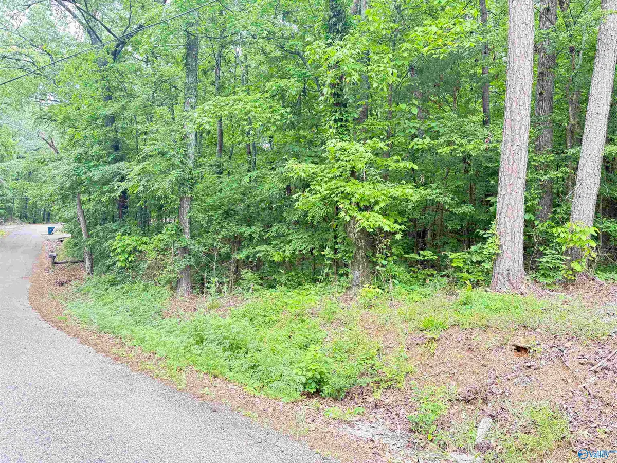 Lot 72 Holiday Shores Road, Scottsboro, AL 35769 - Image #1