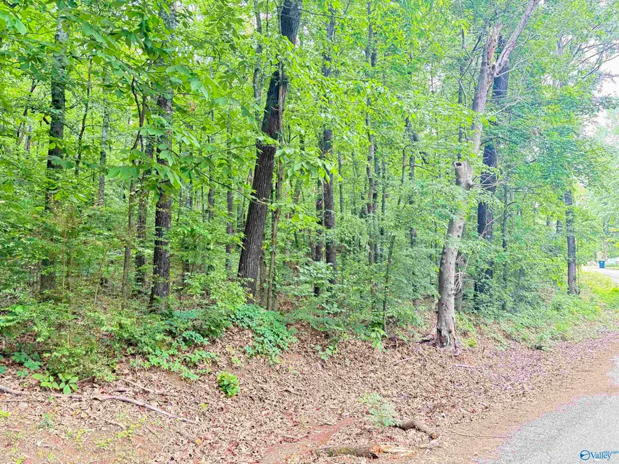 Lot 72 Holiday Shores Road, Scottsboro, AL 35769 - Image #2