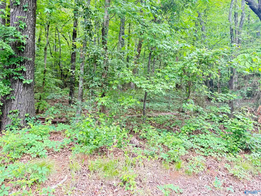 Lot 72 Holiday Shores Road, Scottsboro, AL 35769 - Image #3