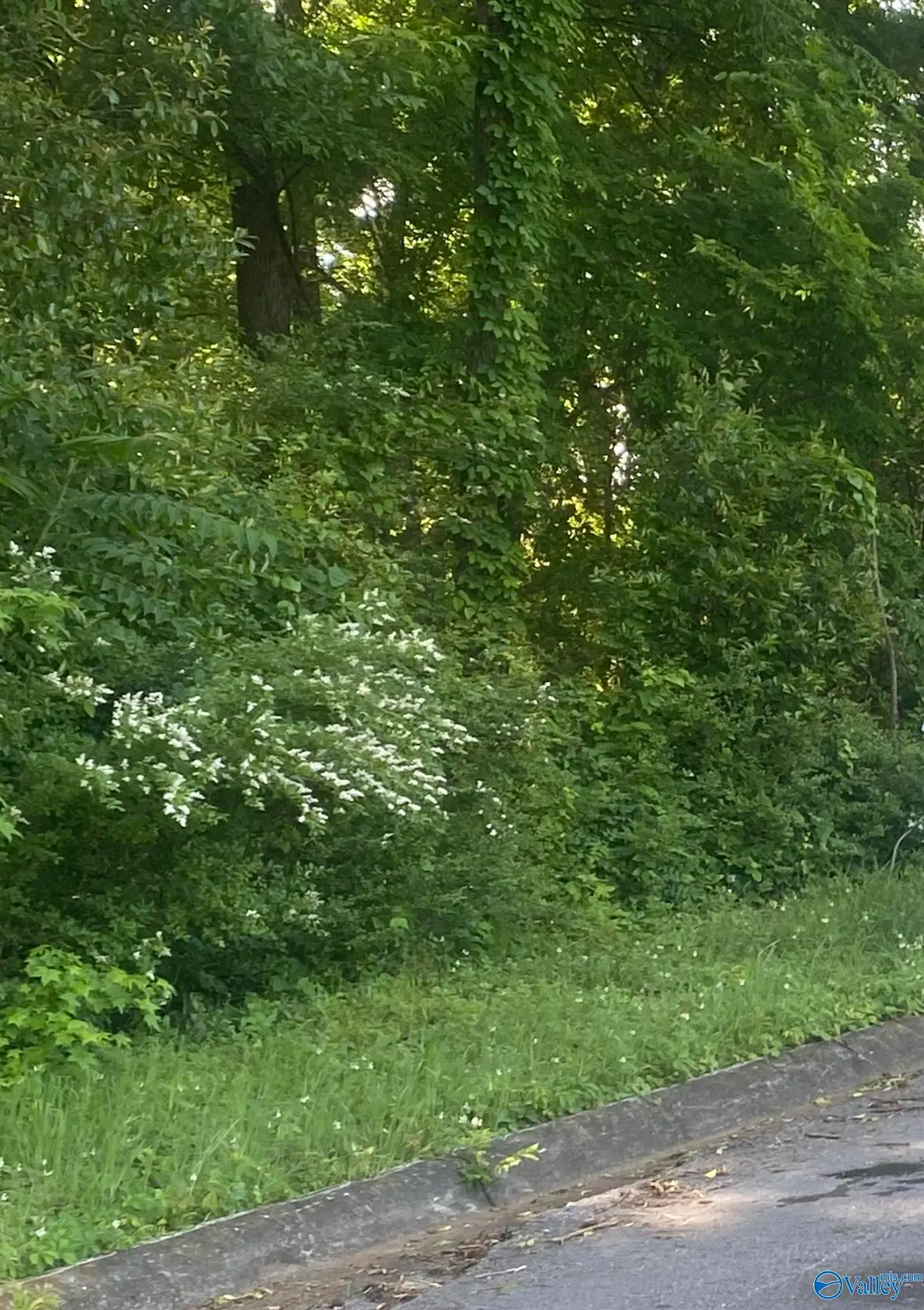 Lot 10-11 Blair Street S, Florence, AL 35630 - Image #1