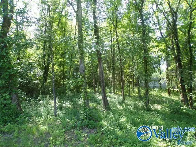 .46 Lot Valley View Street, Hokes Bluff, AL 35903 - #1