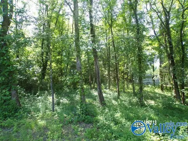 .46 Lot Valley View Street, Hokes Bluff, AL 35903