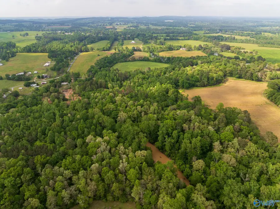 9.60+ ACRES Pleasant Grove Road, Horton, AL 35980 - Image #2