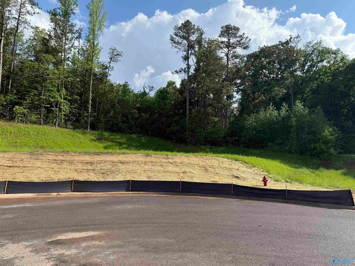 Lot 6 Tumbleweed Drive, Guntersville, AL 35976 - Image #1