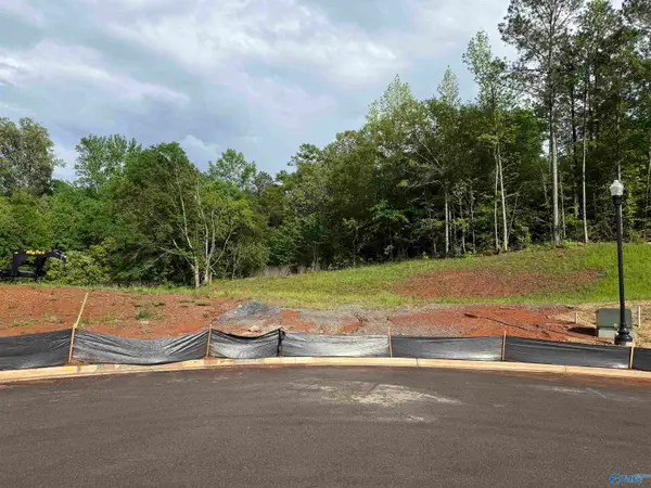 Lot 7 Tumbleweed Drive, Guntersville, AL 35976