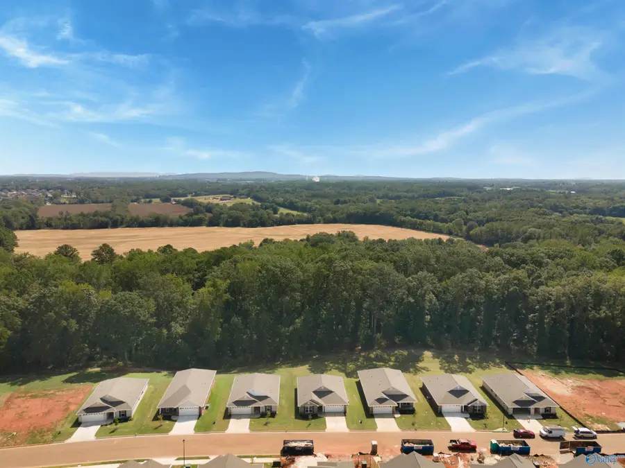 28823 Nature Trail Drive, Harvest, AL 35749 - Image #3