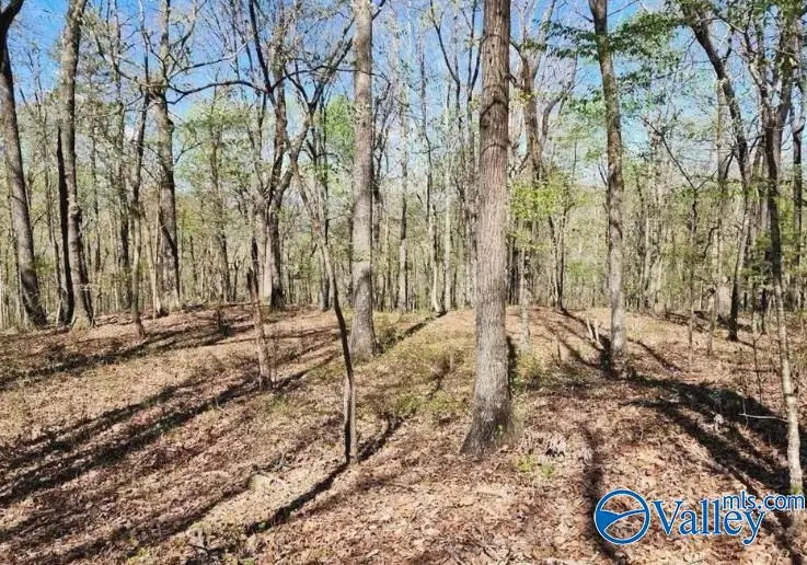 59 acres Horse Cove Road, Gurley, AL 35748 - Image #1