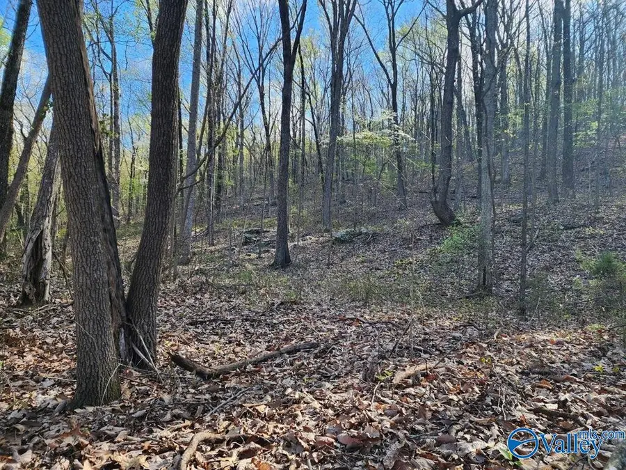 59 acres Horse Cove Road, Gurley, AL 35748 - Image #2