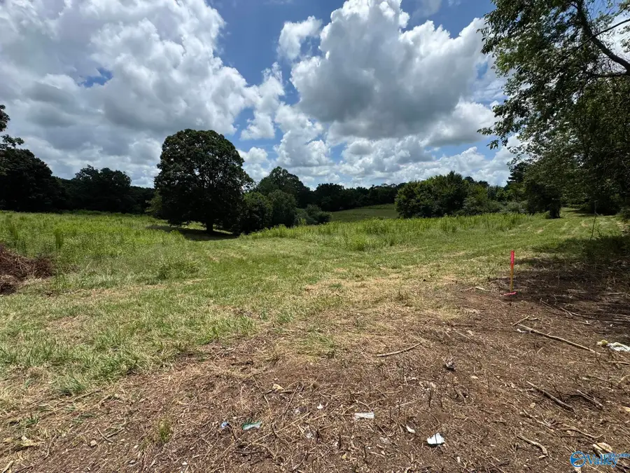 Tract 1 County Road 656, Anderson, AL 35610 - Image #3