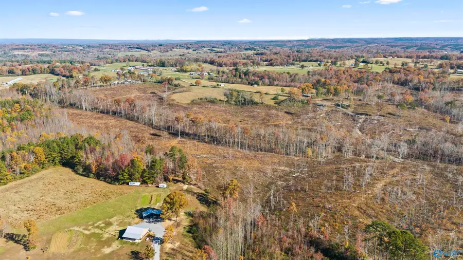 193 AC County Road 1069, Vinemont, AL 35179 - #3