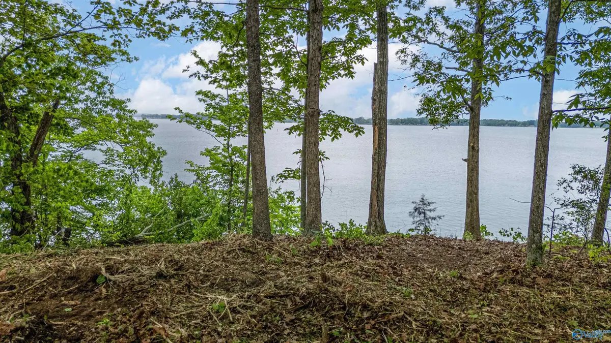 Lot 16 County Road 462, Centre, AL 35960 - #1