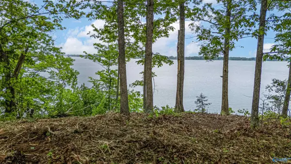 Lot 16 County Road 462, Centre, AL 35960