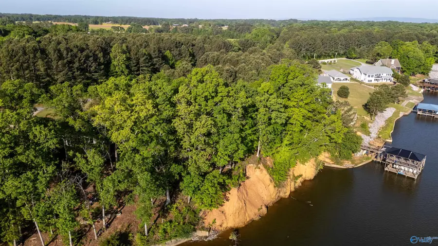 Lot 16 County Road 462, Centre, AL 35960 - #3