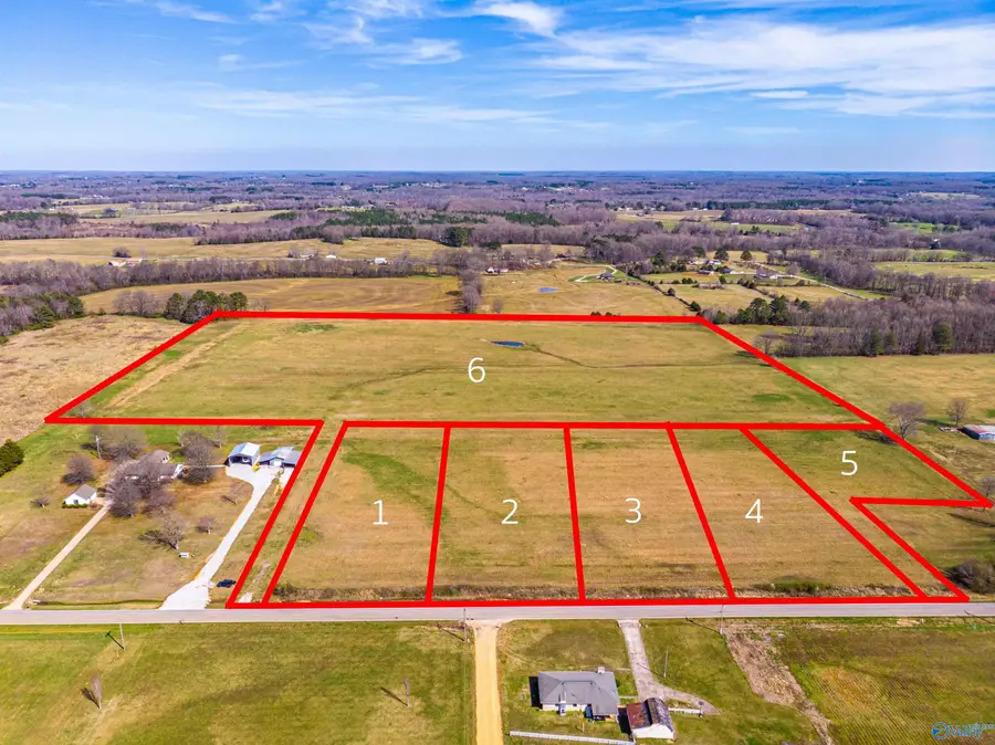 Tract 1 County Road 51, Rogersville, AL 35652 - Image #2