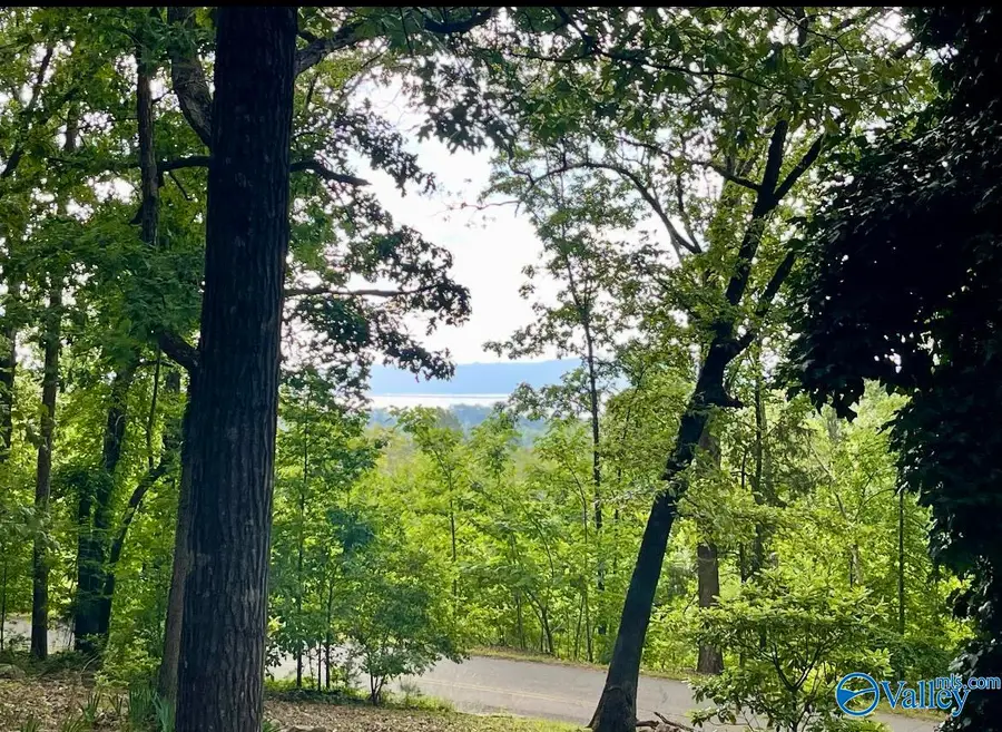 1055 Georgia Mountain Road, Guntersville, AL 35976 - Image #2