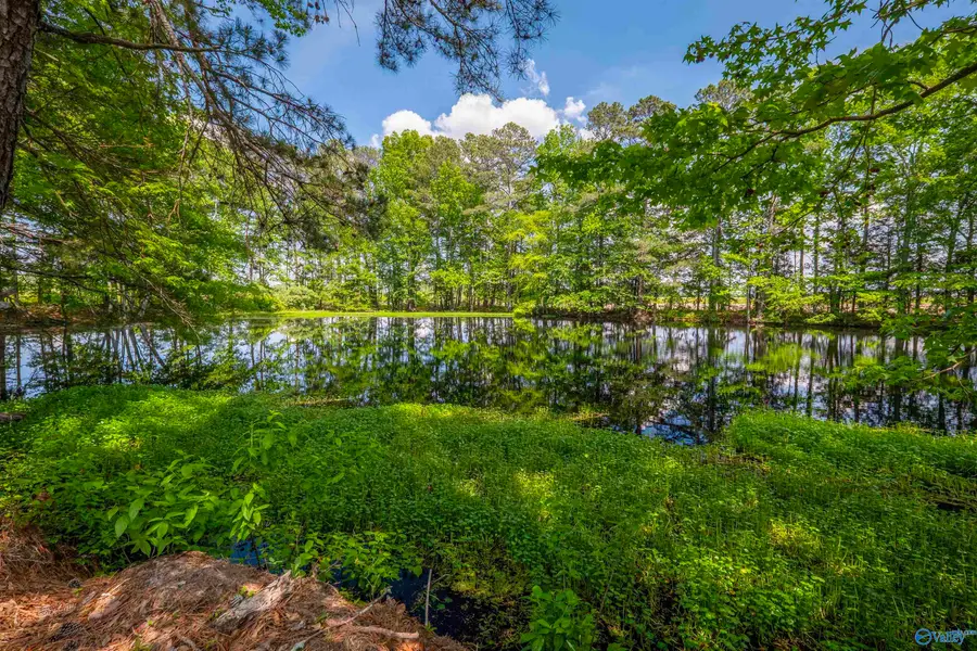 286 Griffith Drive, Centre, AL 35960 - Image #3