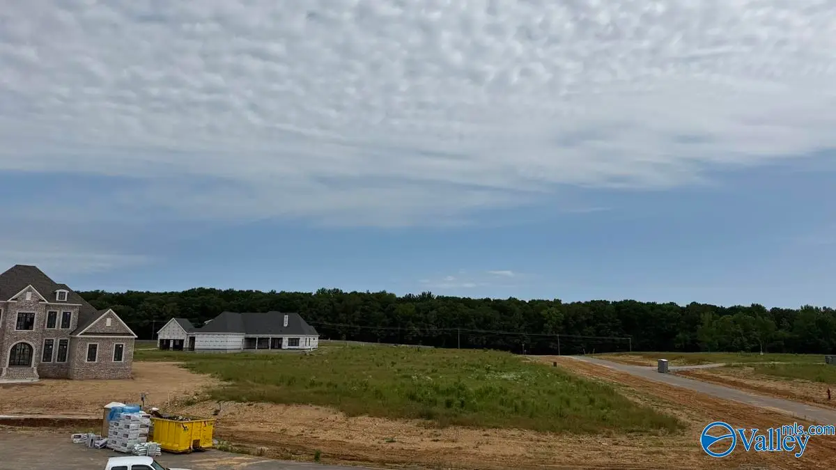 23853 Tusk Circle, Athens, AL 35613 - #1