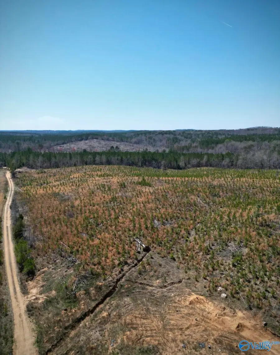 5.17 acre Lot#5 Kuykendall Road, Winfield, AL 35594 - Image #3