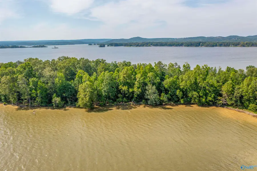 DD Moneys Bend Road, Cedar Bluff, AL 35959 - Image #3