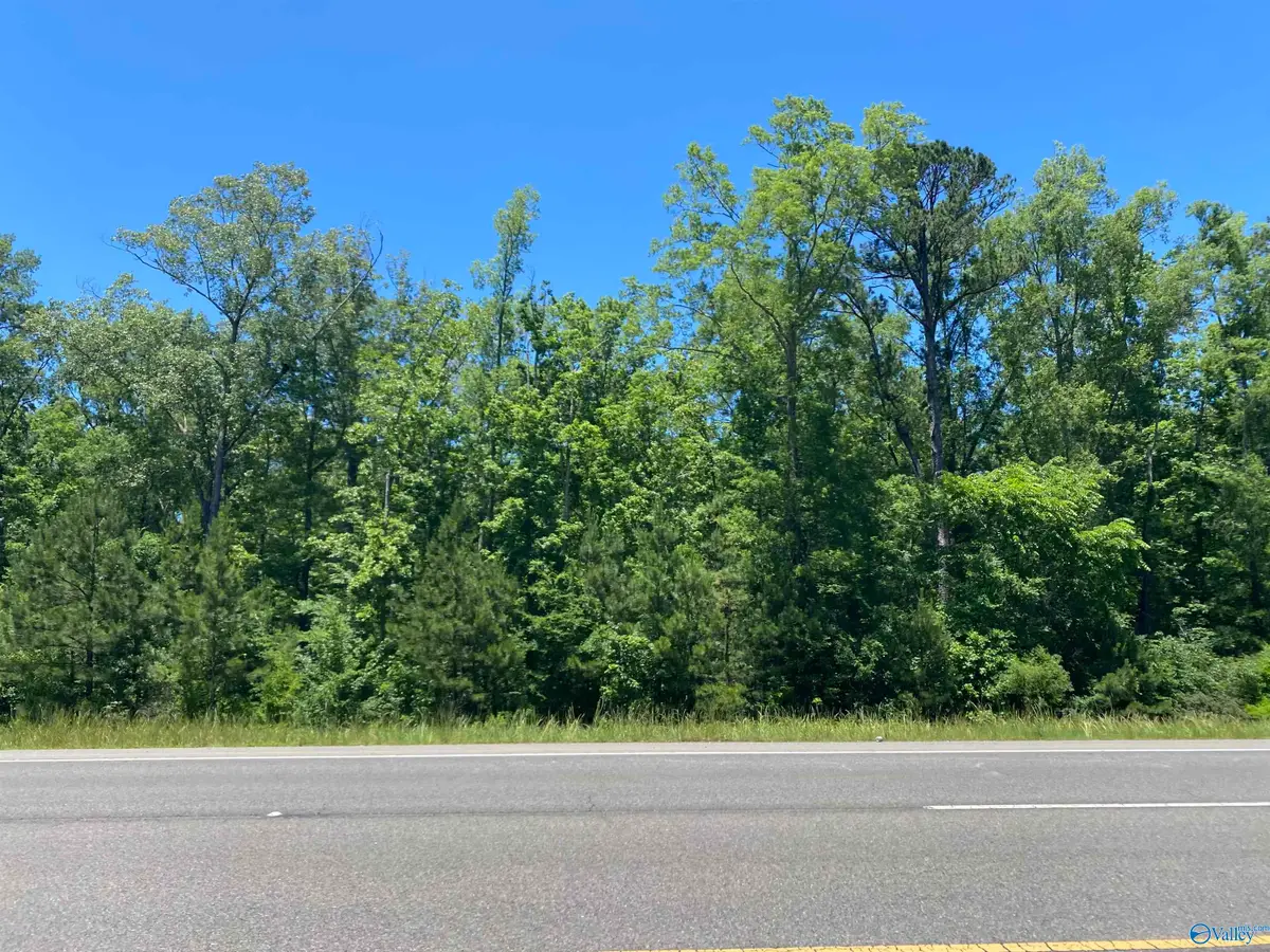 19 acres Goldenrod Avenue, Gadsden, AL 35901 - Image #1