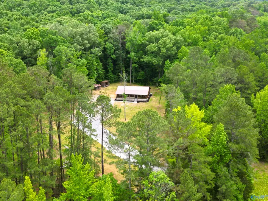 2600 Cathedral Caverns Road, Woodville, AL 35776 - Image #2