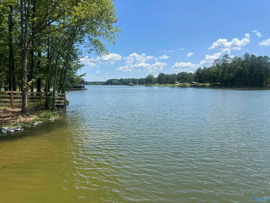 Lot 3 County Road 131, Cedar Bluff, AL 35959 - Image #2