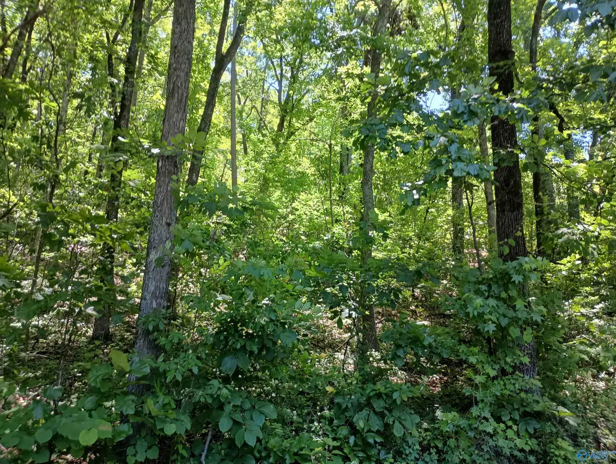 386 Creekview Drive, Rainbow City, AL 35906 - Image #1