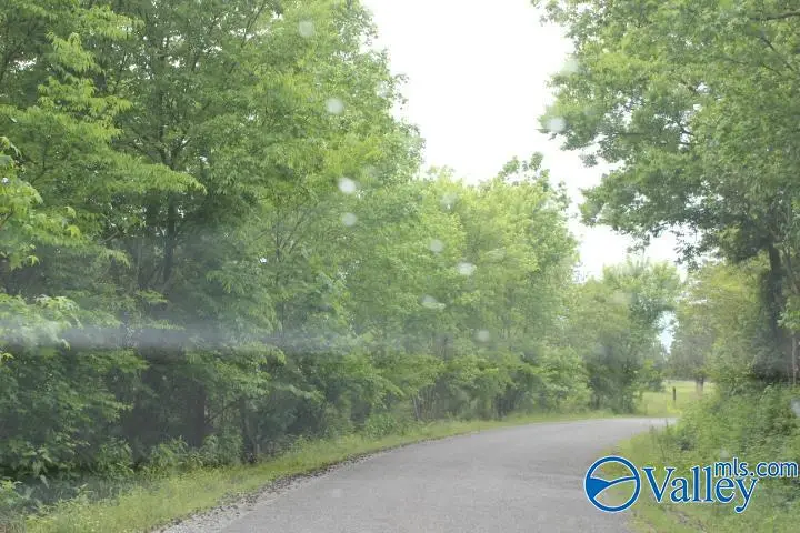 600 County Road 550, Groveoak, AL 35975 - Image #2