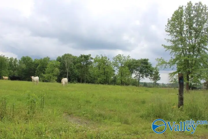 600 County Road 550, Groveoak, AL 35975 - Image #3