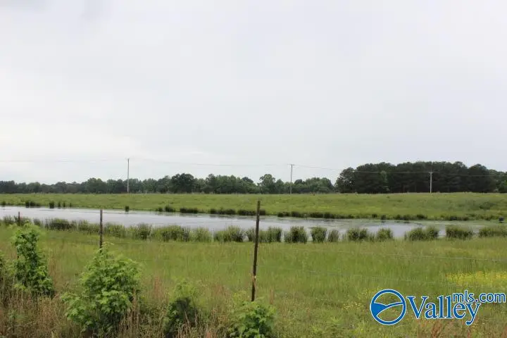 4000 County Road 400, Groveoak, AL 35975 - Image #3