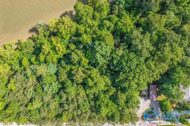 HH Moneys Bend Road #HH, Cedar Bluff, AL 35959 - Image #3