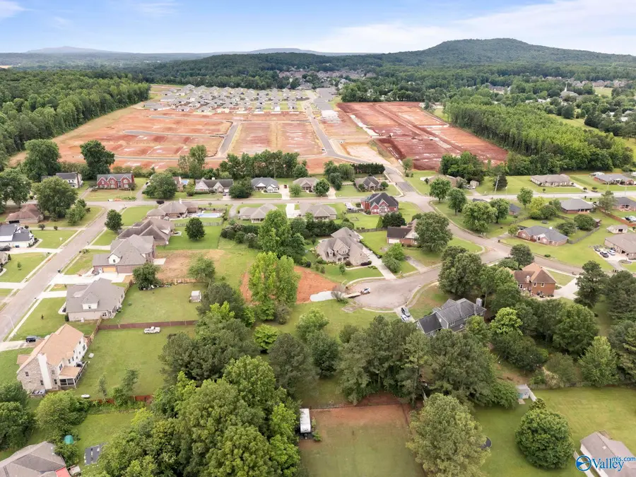 105 Glenhaven Court, Harvest, AL 35749 - Image #2