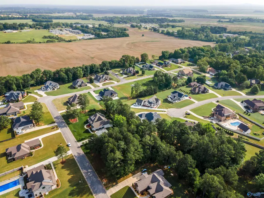 Lot 166 Capitol Hill Drive, Tanner, AL 35671 - Image #3