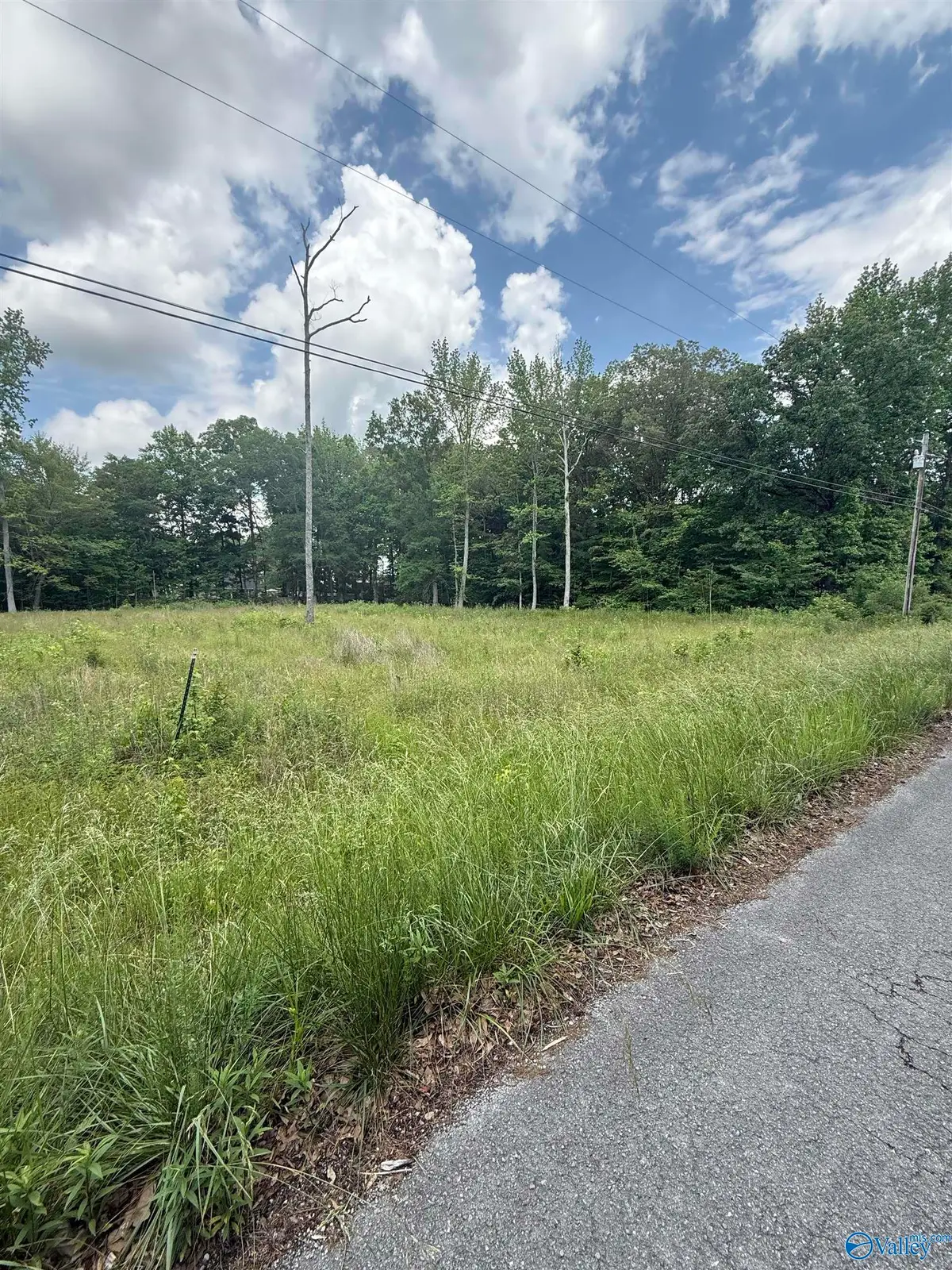 28427 Jessica Drive, Toney, AL 35773 - Image #1