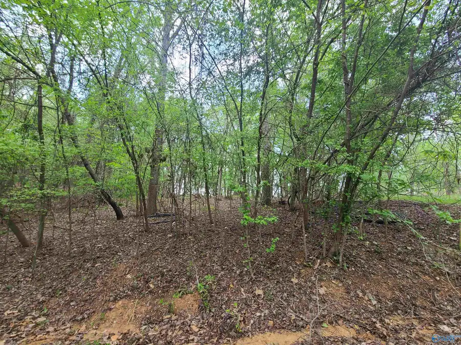 342 Monte Sano Drive, Scottsboro, AL 35769 - #2