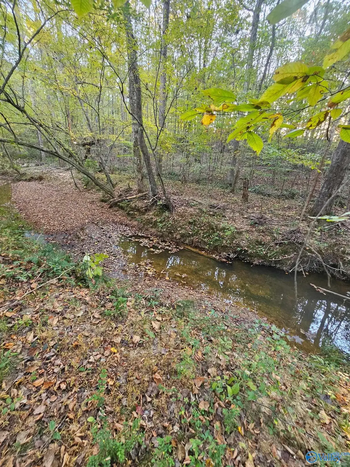 10267 Alabama Highway 101, Town Creek, AL 35672 - Image #1