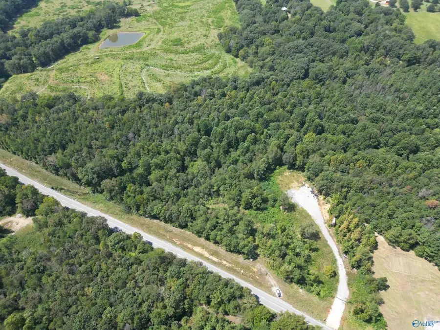 10267 Alabama Highway 101, Town Creek, AL 35672 - Image #3