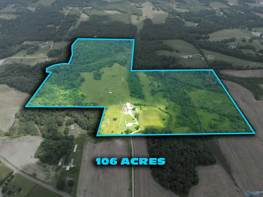 1699 County Road 358, Pisgah, AL 35765 - Image #3