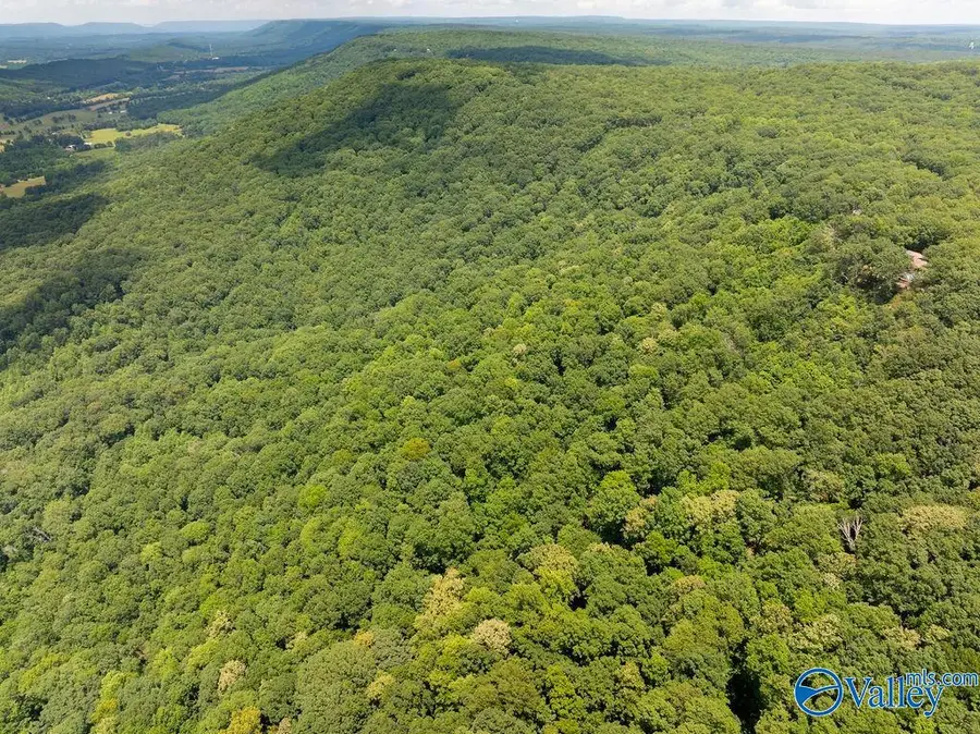 3 ACRES County Road 66, Fort Payne, AL 35967 - Image #3