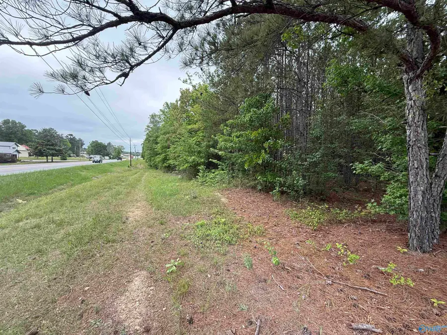 6.8 AC Alabama Highway 9, Centre, AL 35960 - Image #2