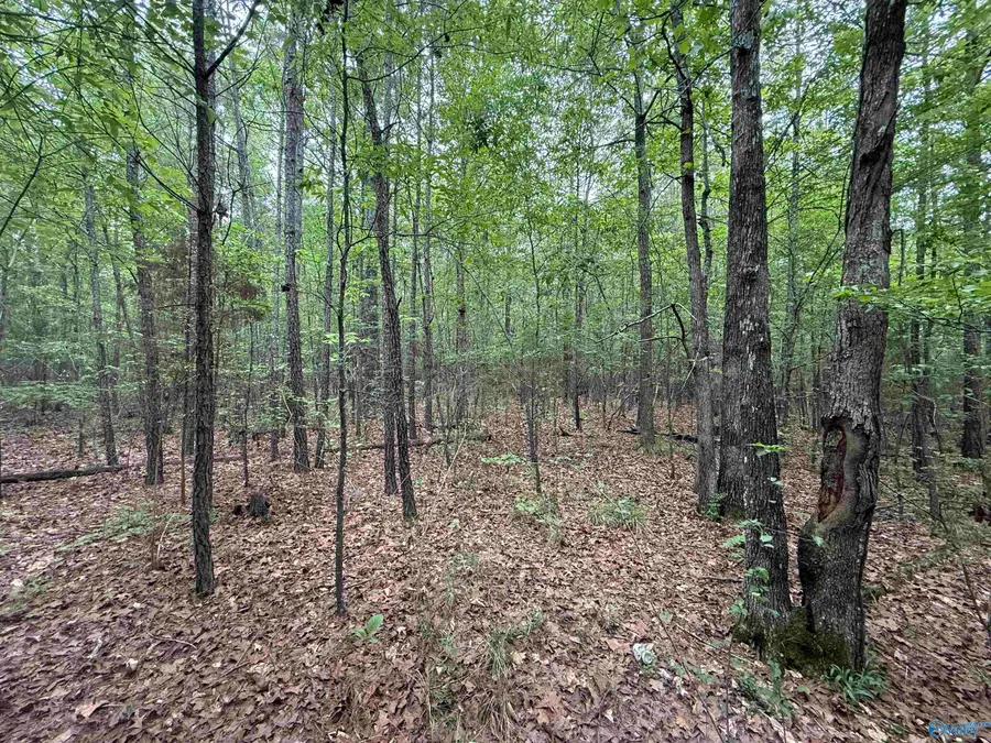 6.8 AC Alabama Highway 9, Centre, AL 35960 - Image #3