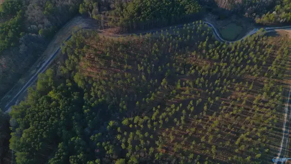 3.6 Acres County Road 155, Centre, AL 35960