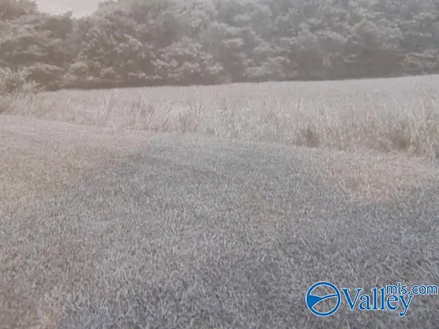 01 Green Meadow Road, Huntsville, AL 35810 - Image #2