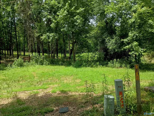 7 Eagles Fair, Glencoe, AL 35905