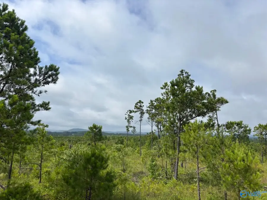 Tract 4 Tom Cat Road, Gadsden, AL 35903 - Image #3