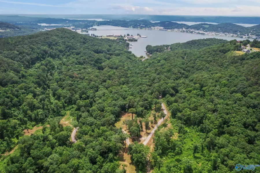 Lot 1 Wyeth Drive, Guntersville, AL 35976 - Image #3