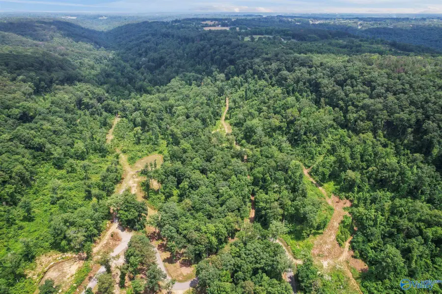 Lot 4 Wyeth Drive, Guntersville, AL 35976 - Image #3