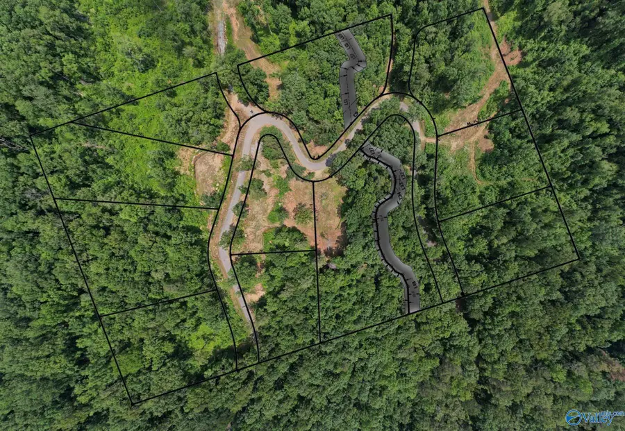 Lot 8 Wyeth Drive, Guntersville, AL 35976 - Image #2