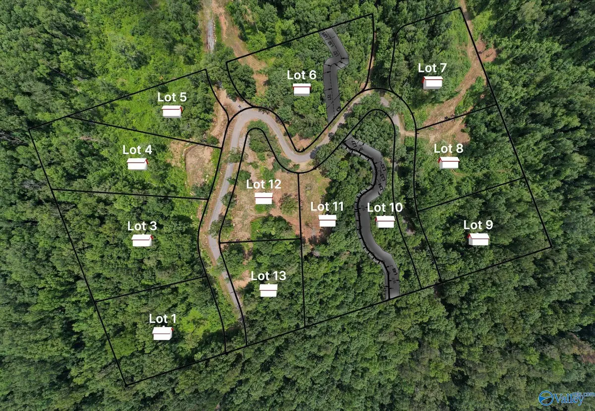 Lot 9 Wyeth Drive, Guntersville, AL 35976 - Image #1