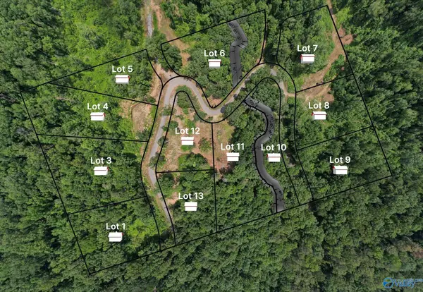 Lot 9 Wyeth Drive, Guntersville, AL 35976